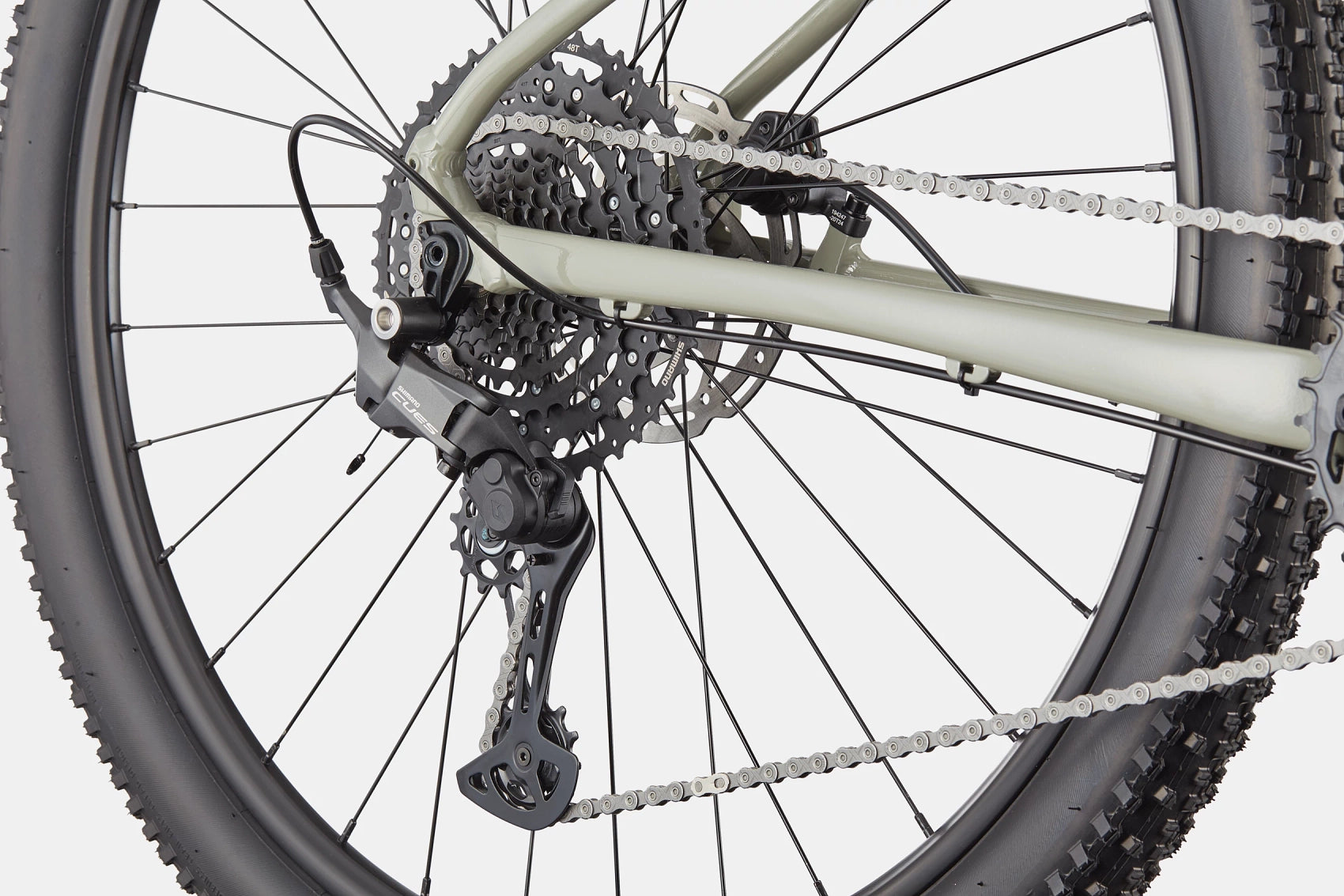 Trail 1 Cannondale 2025 Tiger Shark #6