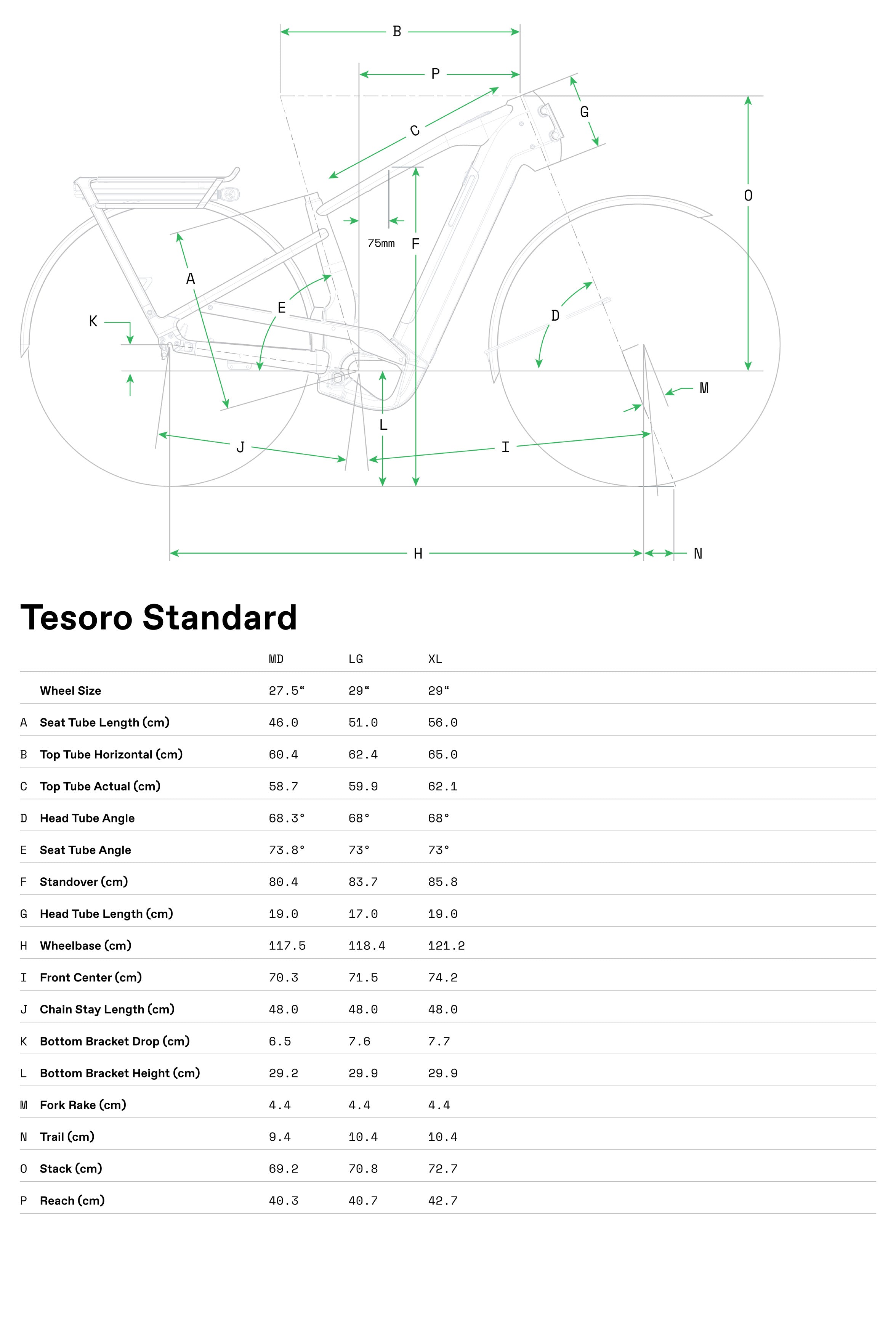 Tesoro Neo 2 Cannondale 2025 Storm Cloud #8