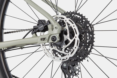Trail 1 Cannondale 2025 Tiger Shark #7